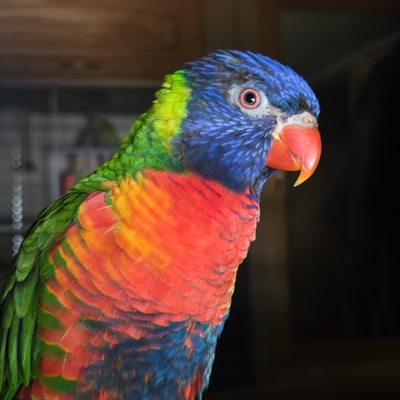 Meet your Posher, Thanh - Picture 10 of 10